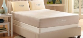 Nature's Sleep Mattress
